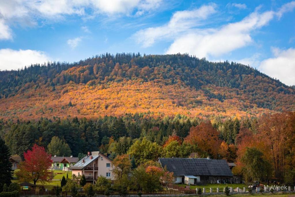 Domek Nad Zalewem Radkowskim Zewnętrze zdjęcie