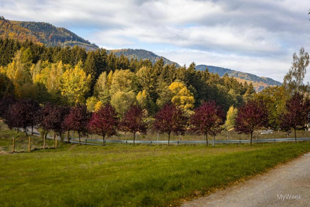 Domek Nad Zalewem Radkowskim Zewnętrze zdjęcie